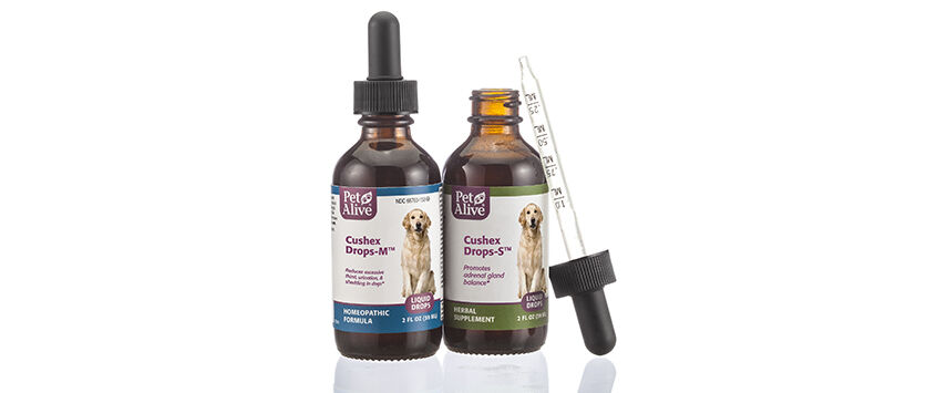 Healthcare and Supplement Products for Pets